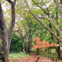 天然ものってスゴい