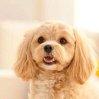 おはようございます?