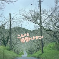 ? 今日からまた、ぼちぼち♪