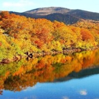おはようございます??