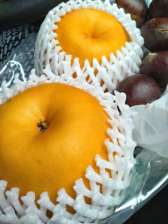 ありがとうございました(*^^*)