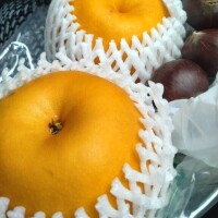 ありがとうございました(*^^*)