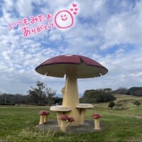  こんなところに…?