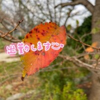 ? 情報過多に、昭和の風???