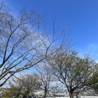 ? いつものアレがないと調子が出ない???
