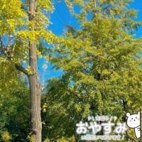 ? さて、どうする?