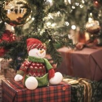 おはようございます！