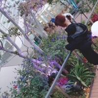 早めにクリスマスと年末挨拶?????