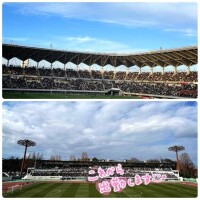 スイッチ入ります