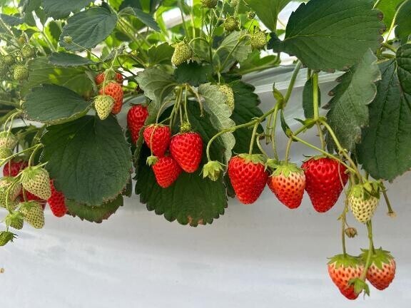 お疲れさまです