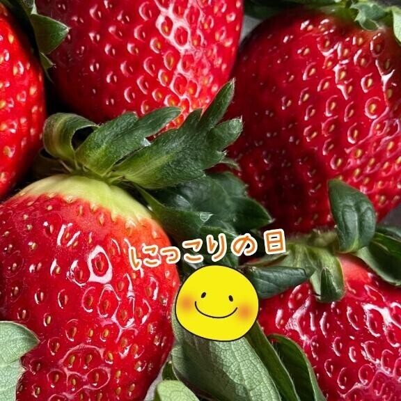 ニコッ♪(?????)♪