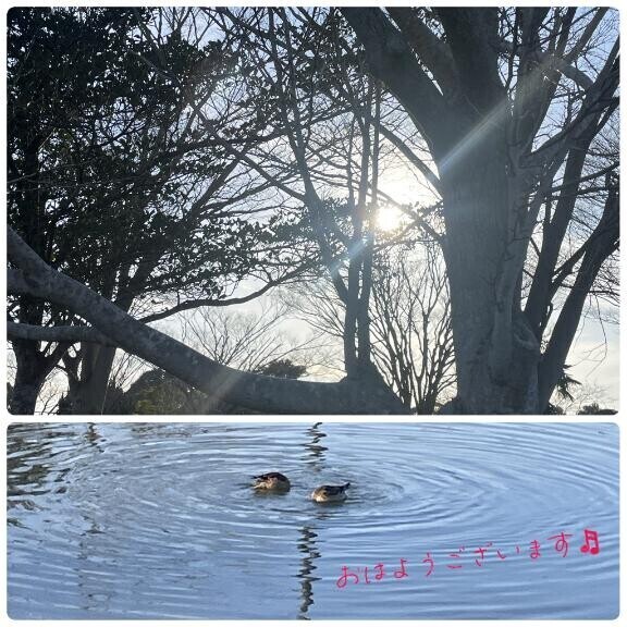 出勤しました！