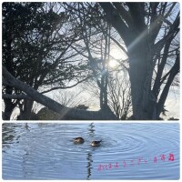 出勤しました！