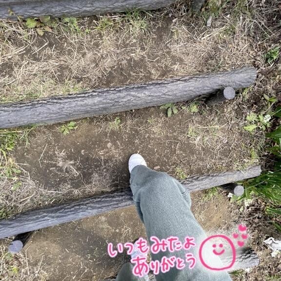 抜けてます(･･;)