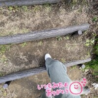 抜けてます(･･;)