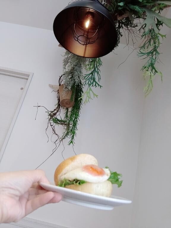 空中ロコモコ???(^・^)??