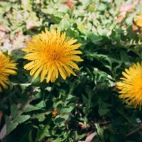 おはようございます