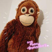 ぎゅーっ