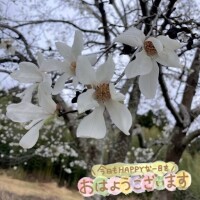 出勤しました