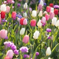 こんにちは
