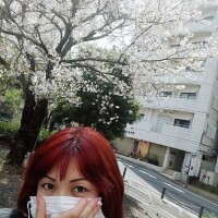 桜☆4月23 24  25日ねっ。☆