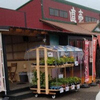 ありがとうございました(*^^*)