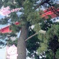 かくれんぼしてるのだーれ？