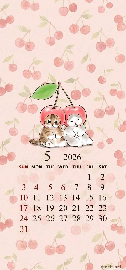 昨日はありがとうございました?