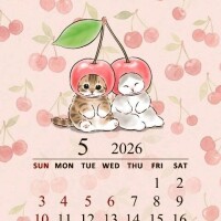 昨日はありがとうございました?