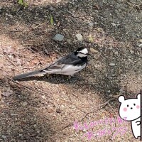 予感?