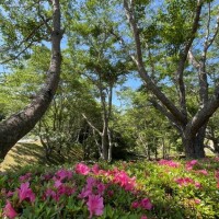 私は◯になりたい