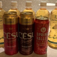 水野あみ