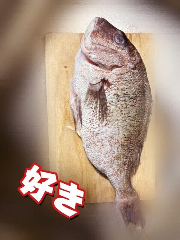 本誌のお兄様お誘いありがとうございました？？約束してたお魚美味しくい ただきました？