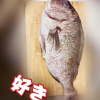 ことの