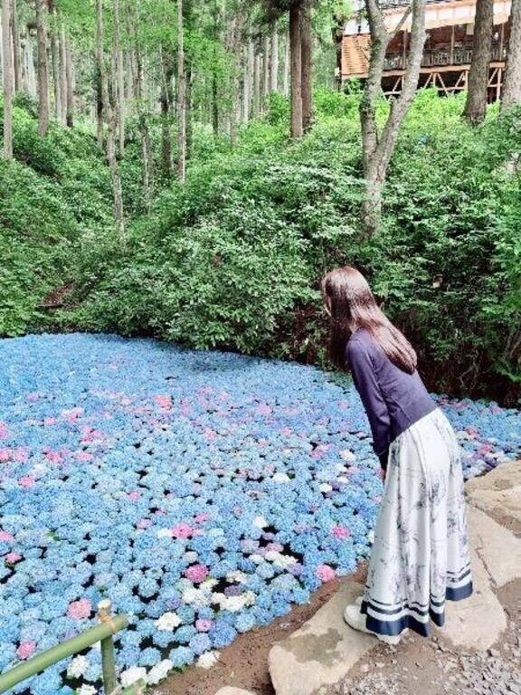 💠 あじさい池 💠