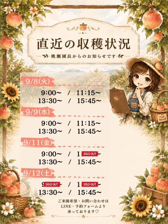 🍑直近の収穫状況＆桃約束🗓️🌻