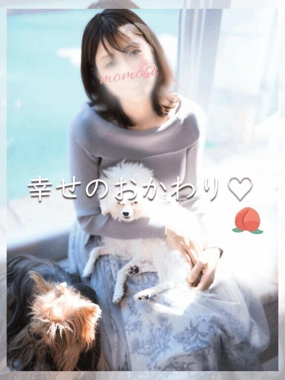 🍑幸せのおかわり〜渋滞中🫶