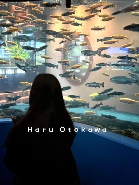 帰る頃ちょっと寂しい時間・5月の出勤予定🗓