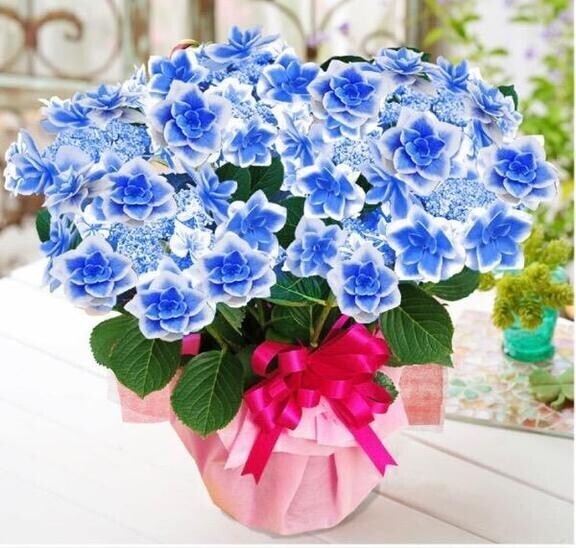 Mothers Day💐