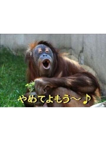 向かってるよ～((((っ・ω・)っ