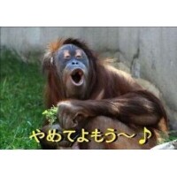 向かってるよ～((((っ・ω・)っ