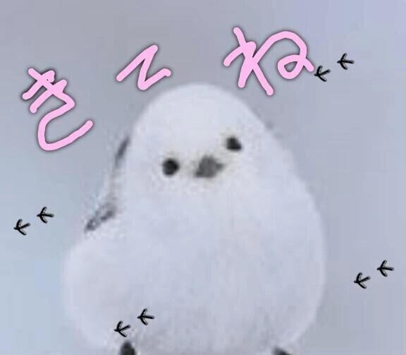 本日も出勤です➰