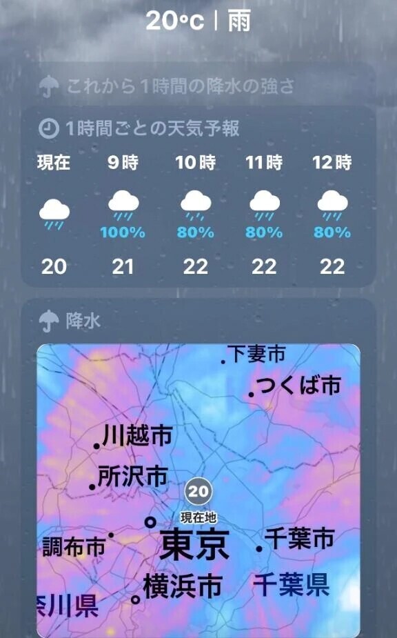 1日中雨模様☔️☔️☔️