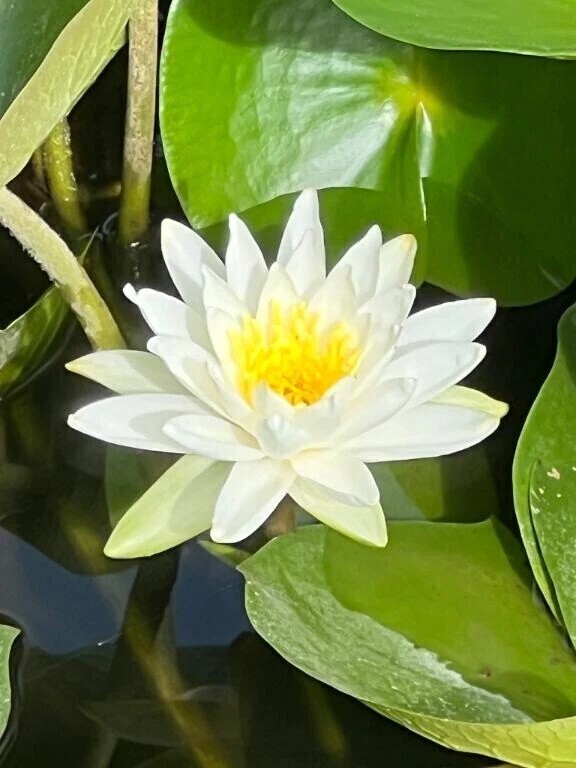 ナマでイケます〜✨
