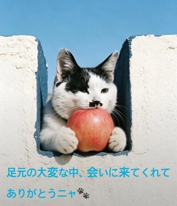 21日の御礼