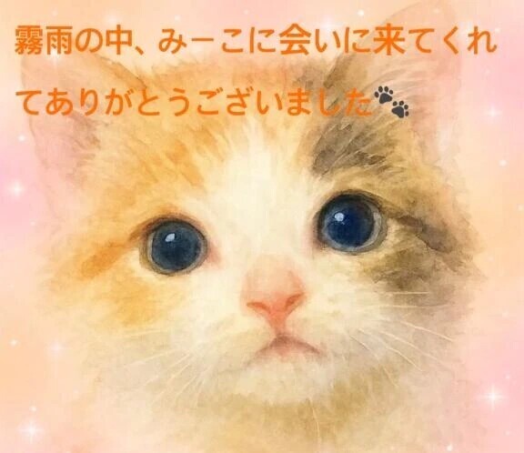 松戸でドキドキ23日のお礼♡