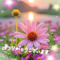 美花（みか）