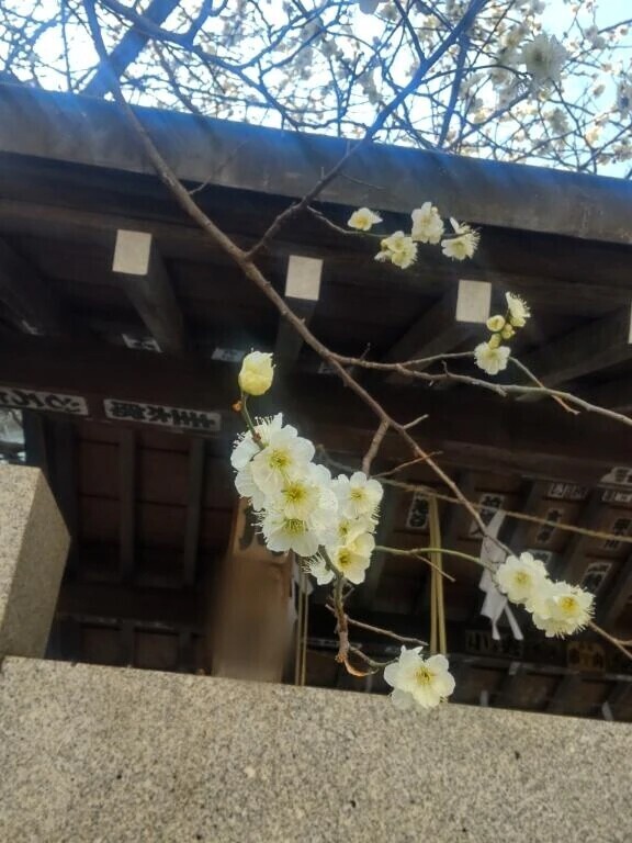 はじめまして。