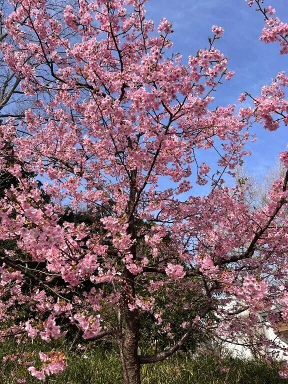 はじめまして〜