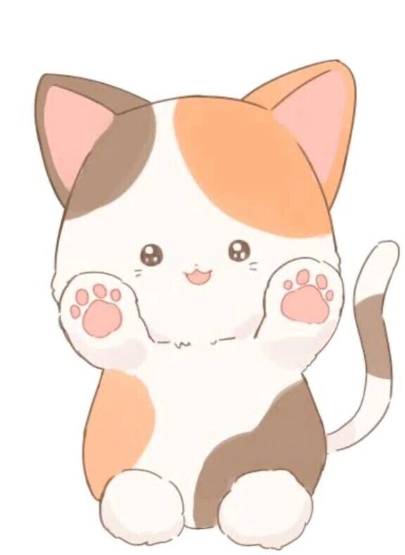 おはようございます🌞